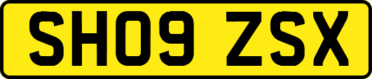 SH09ZSX