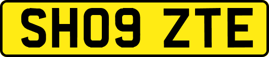 SH09ZTE