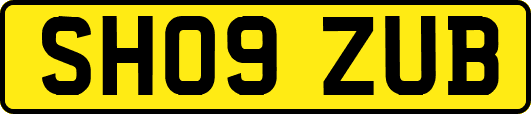 SH09ZUB