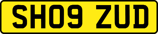 SH09ZUD