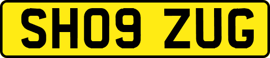 SH09ZUG