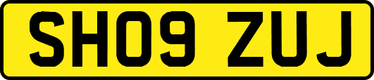 SH09ZUJ