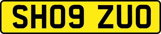 SH09ZUO