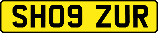 SH09ZUR