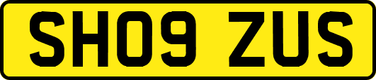 SH09ZUS