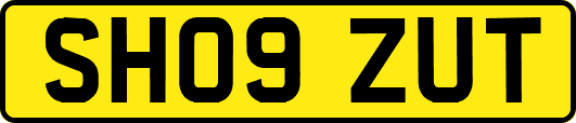 SH09ZUT