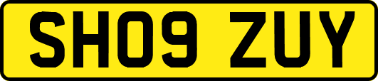 SH09ZUY
