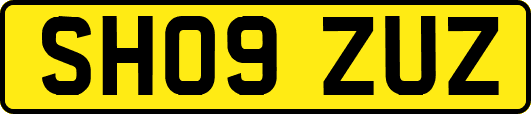 SH09ZUZ