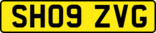 SH09ZVG