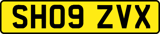 SH09ZVX