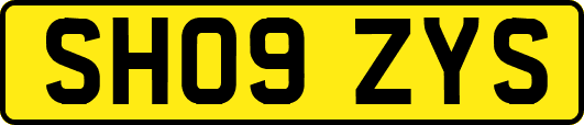 SH09ZYS
