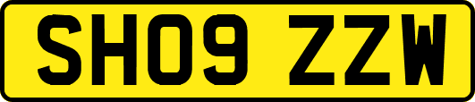 SH09ZZW