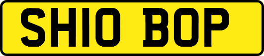 SH10BOP