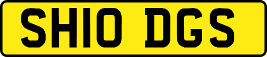 SH10DGS