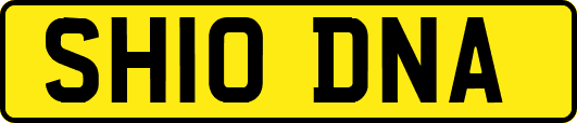 SH10DNA