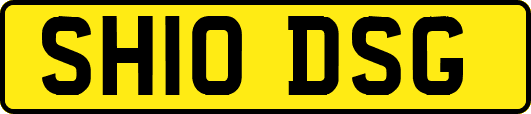 SH10DSG