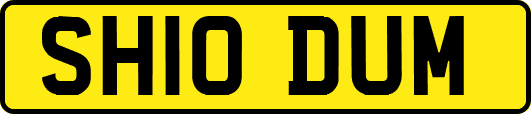 SH10DUM