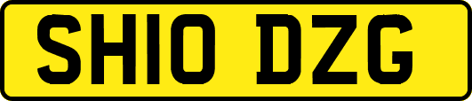 SH10DZG