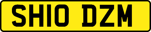 SH10DZM
