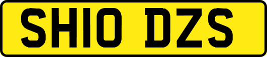 SH10DZS