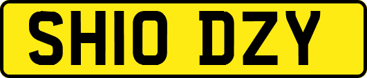 SH10DZY