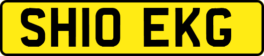 SH10EKG