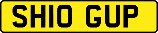 SH10GUP