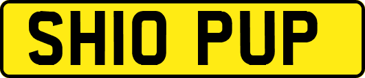 SH10PUP