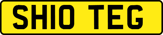 SH10TEG