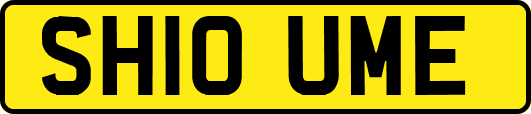 SH10UME