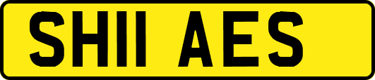 SH11AES