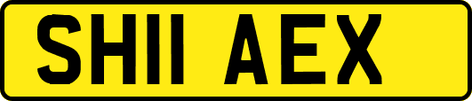 SH11AEX