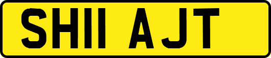 SH11AJT