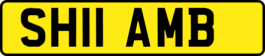 SH11AMB