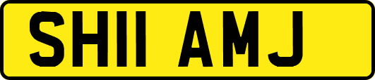 SH11AMJ