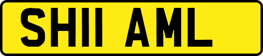 SH11AML