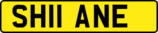 SH11ANE