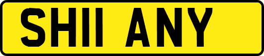 SH11ANY