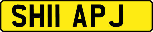 SH11APJ