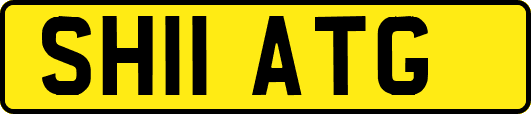 SH11ATG