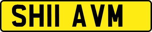 SH11AVM