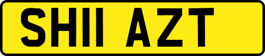 SH11AZT