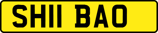 SH11BAO