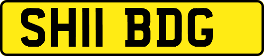 SH11BDG