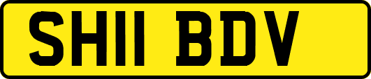 SH11BDV