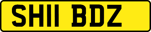 SH11BDZ