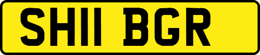 SH11BGR