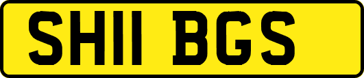 SH11BGS
