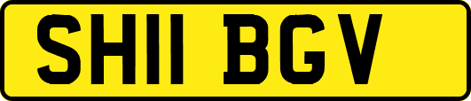 SH11BGV
