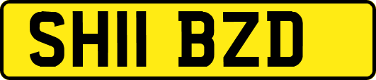 SH11BZD